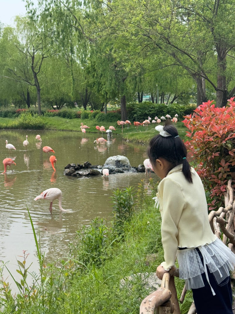 순천만국가정원 어린이동물원, 아이와 가볼만한곳 추천｜주차·입장료·운영시간까지