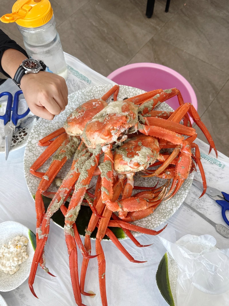 속초 홍게 무한리필 송진호홍게, 수율 보고 놀란 청호동 속초 맛집