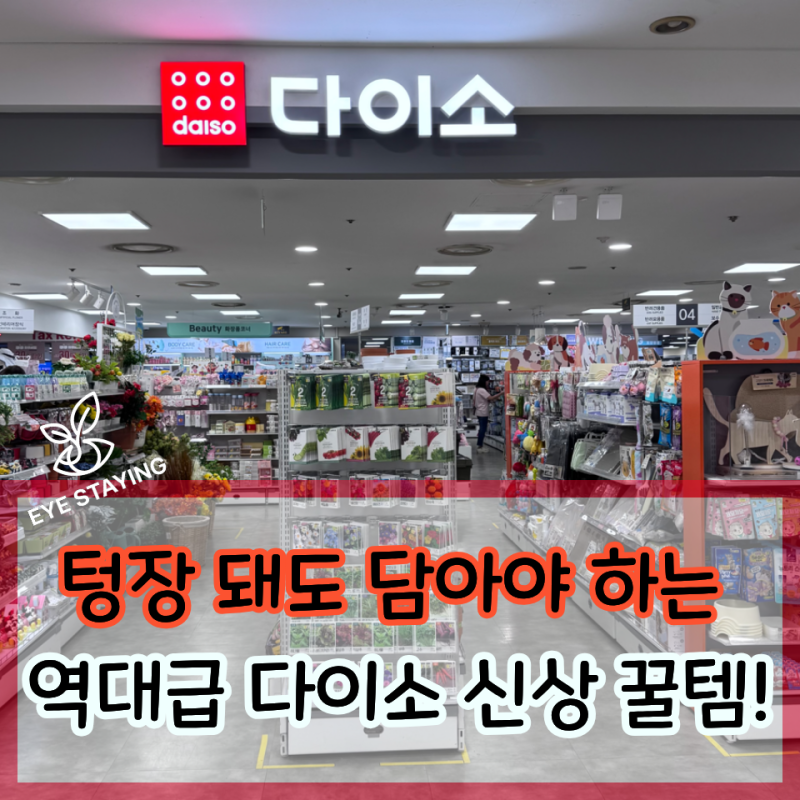 텅장 돼도 꼭 사야 할 다이소 실물 대박 신상 꿀템!