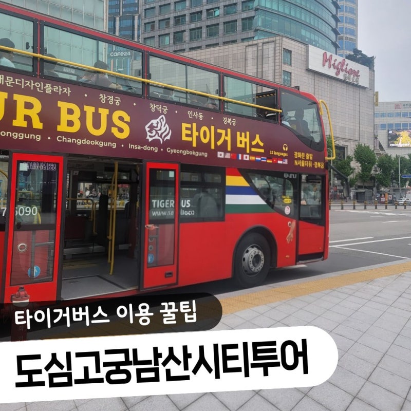 서울 명소 무제한 정복! 도심고궁남산 시티투어버스 코스, 타이거버스 이용 방법 총정리