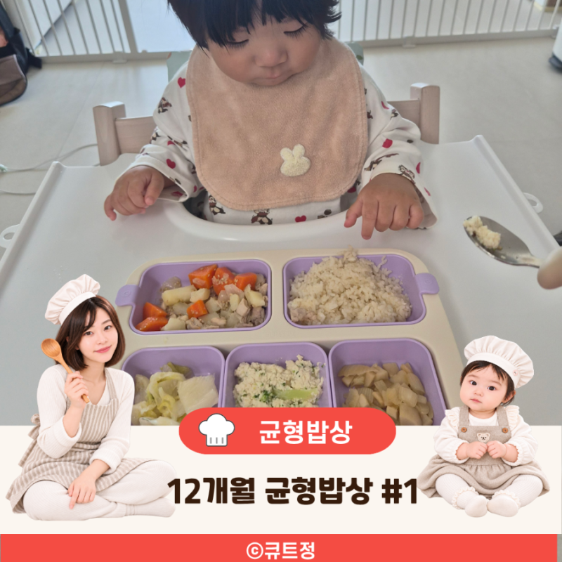 12개월 아기 유아식 식단 닭고기 감자조림 한 끼 구성