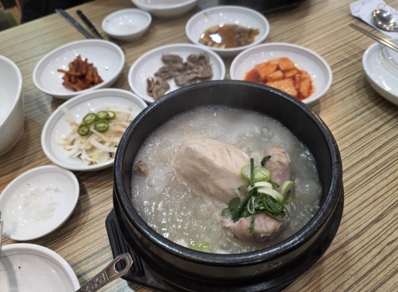 대구 달서구 송현역 맛집 초시골삼계탕 후기