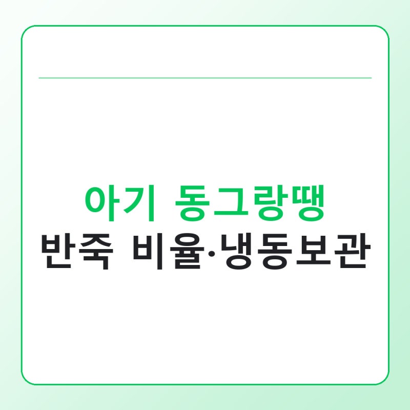 아기 동그랑땡 만들기, 돼지고기·소고기 반죽 비율과 냉동보관 방법