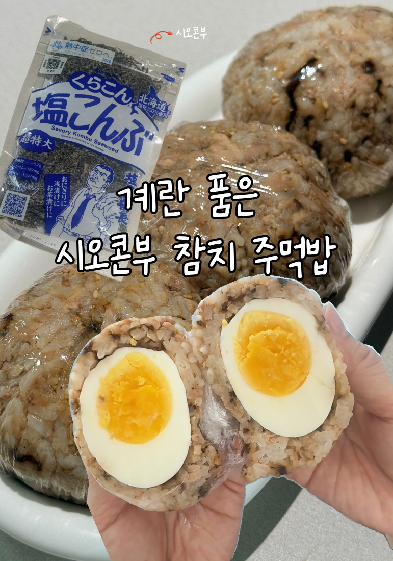 단백질 폭탄 계란 품은 시오콘부 참치 주먹밥 시오콘부 활용 레시피