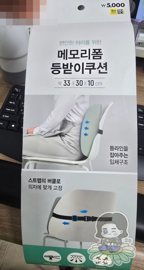 [다이소] 메모리폼 등받이 쿠션(1063888) | 드디어 정착한 가성비 등쿠션
