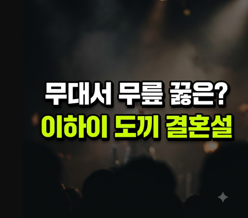 이하이 도끼 무대서 무릎 꿇은 이유: (+화제의 콘서트 장면, 결혼설 총정리)