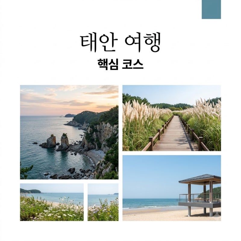 태안 가볼만한곳, 무지성 코스보다 확실한 일몰과 수목원 동선 짜기