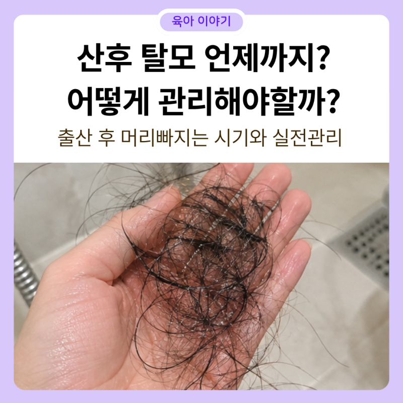 산후탈모 언제까지? 출산후 머리카락 빠지는 시기와 실전 관리