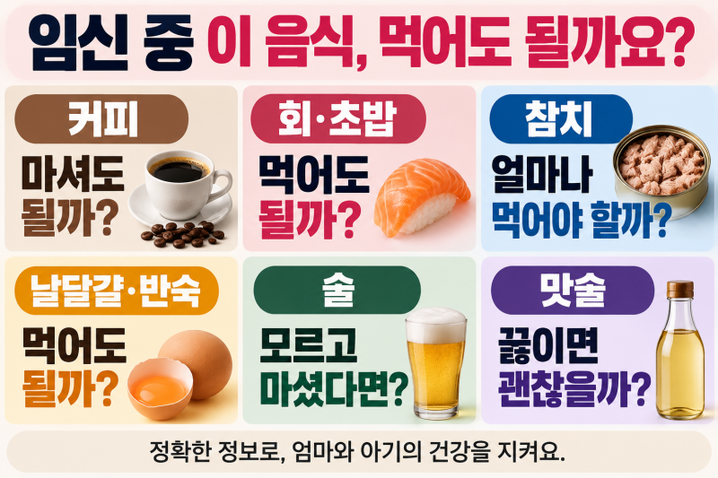 임산부 음식 총정리｜임신 중 커피·회·참치·날달걀·술