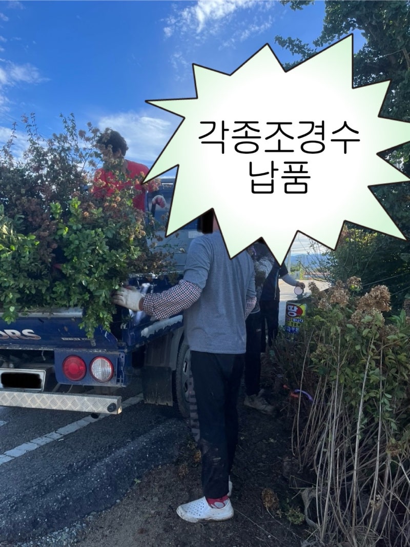 해피추석! 각종조경수 납품 정가네농원