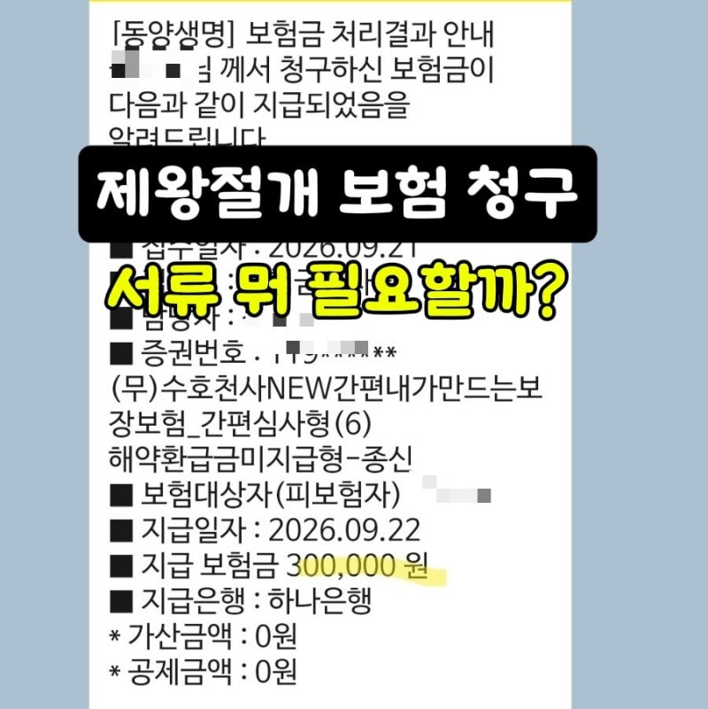 제왕절개 보험 청구 서류, 실비 청구 결과와 실제 지급 후기