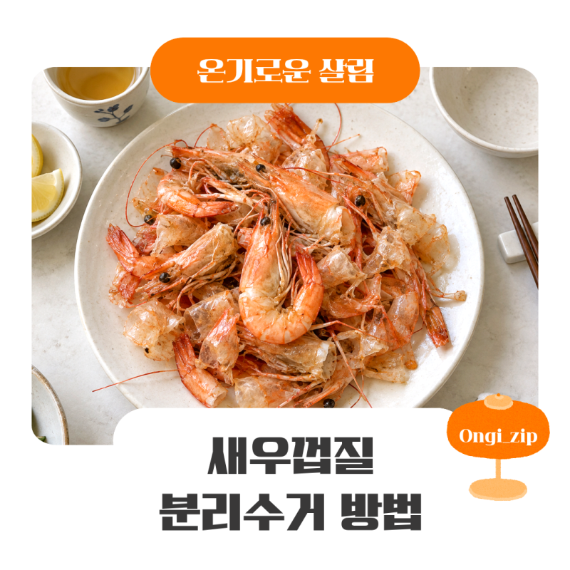 새우껍질 분리수거, 음식물쓰레기인지 일반쓰레기인지 헷갈렸다면