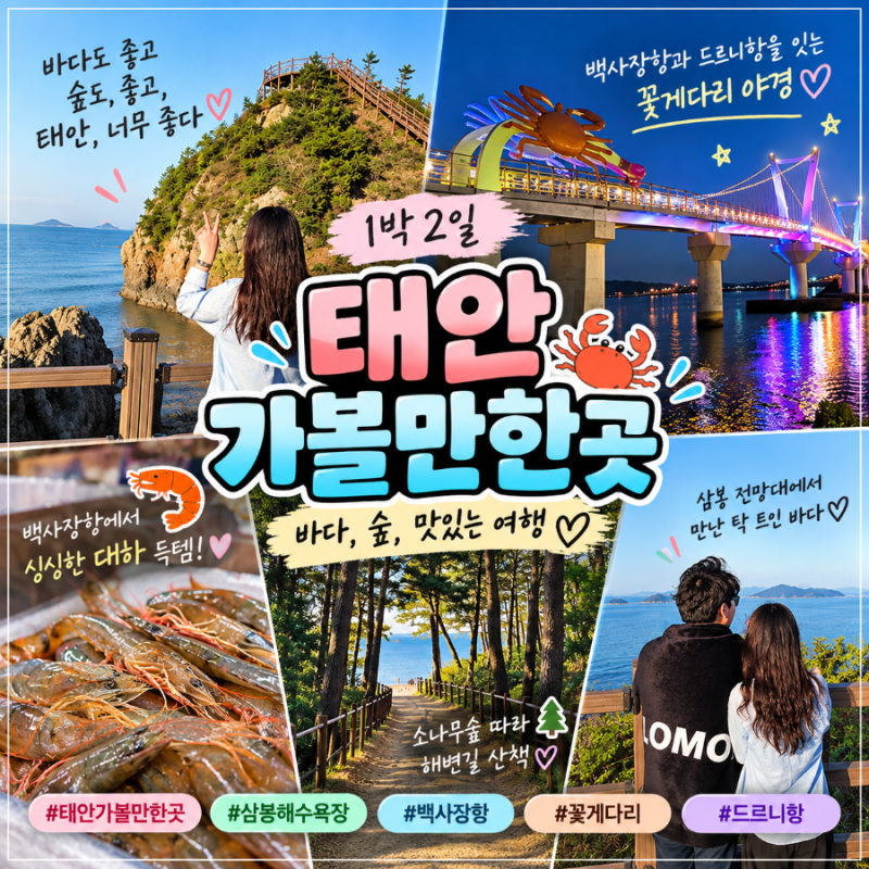 태안 가볼 만한 곳 삼봉해수욕장 백사장항 꽃게다리 드르니항 여행코스