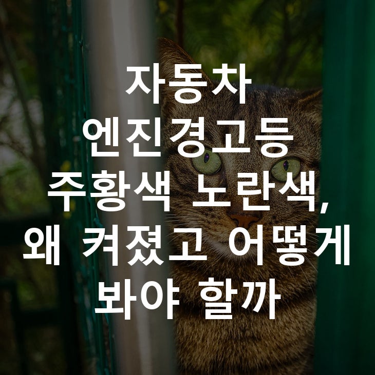 자동차 엔진경고등 주황색 노란색, 왜 켜졌고 어떻게 봐야 할까