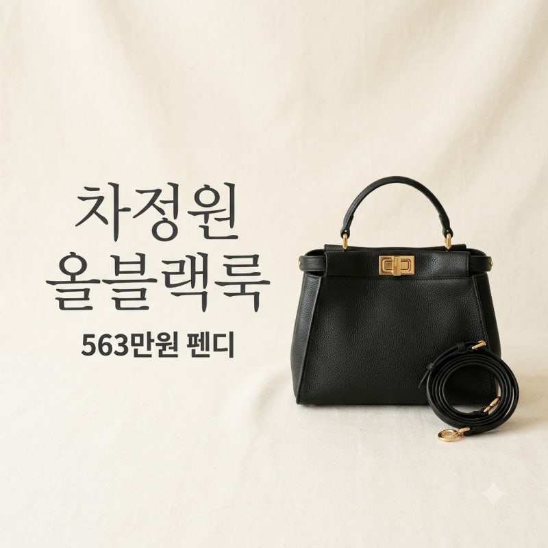 차정원 올블랙룩 563만원 펜디 가방 스타일링 정보