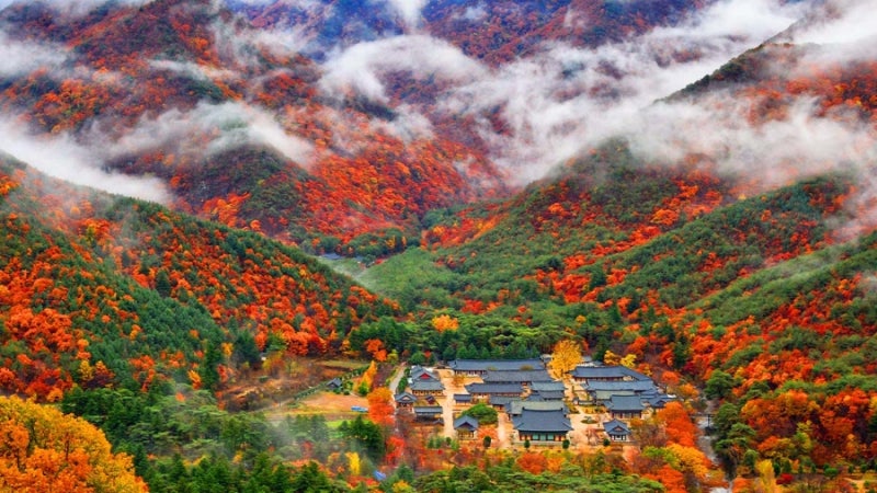 Unmunsa Temple in Cheongdo, Gyeongbuk: A Thousand-Year-Old Temple with Autumn Foliage as Stunning as Seoraksan and Naejangsan, Even Noted by CNN