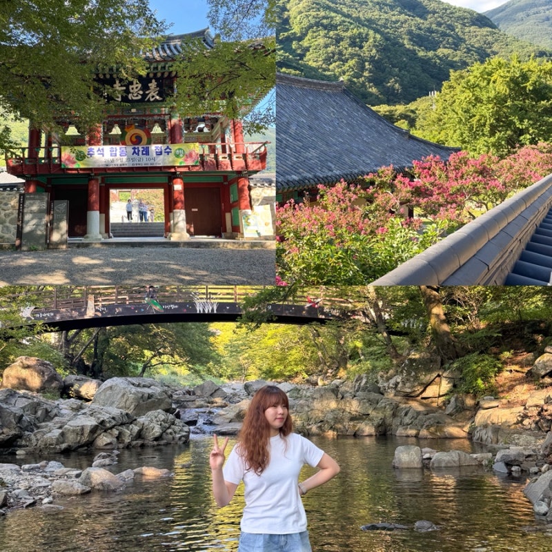 밀양 표충사/ 재약산 아래 9월초 배롱나무도 있고 계곡도 있던 밀양가볼만한곳