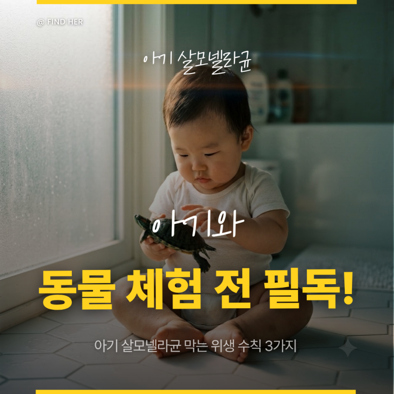 달걀 때문인 줄 알았는데 파충류 접촉이 원인? 아기 살모넬라균 필수 위생 수칙 3가지