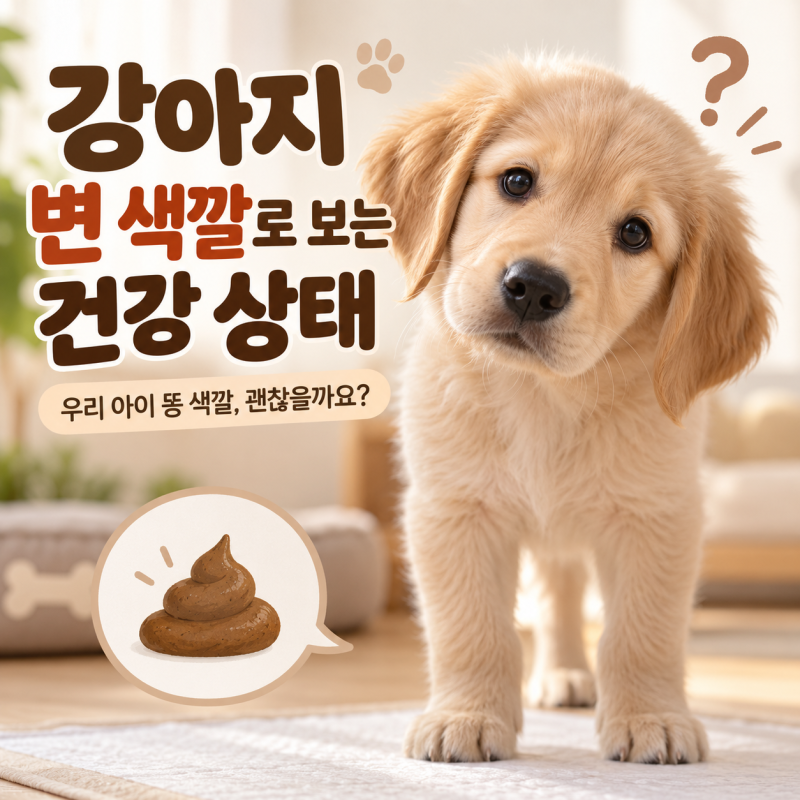 강아지 변 색깔로 보는 건강 상태, 갈색·검은색·노란색 똥은 무엇을 의미할까요?