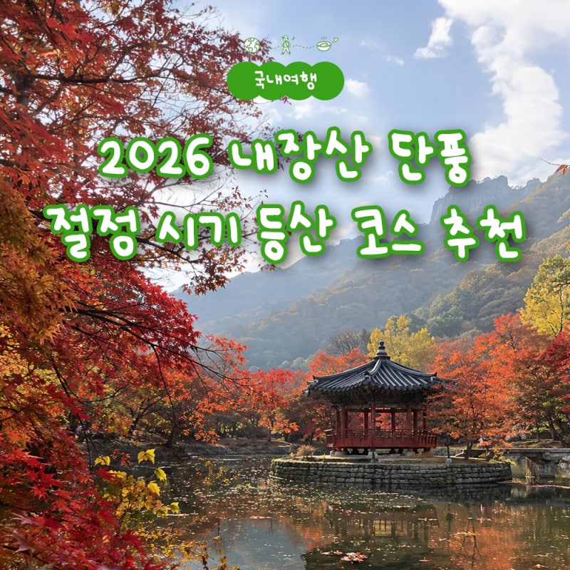 2026 내장산 단풍 절정 시기 골든타임 등산 코스 추천