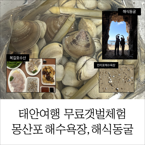 Taean Trip with Kids | Mongsanpo Beach Tidal Flat Experience, Sea Cave Photo Spot (Tide Schedule)