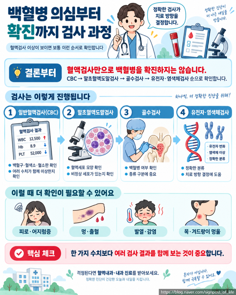 백혈병 증상과 검사｜혈액검사에서 골수검사까지 어떻게 확진할까?