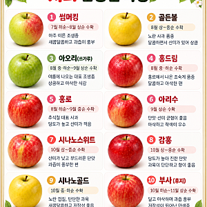 사과 종류가 이렇게 많다고? 썸머킹부터 부사까지 제철·맛 완벽정리