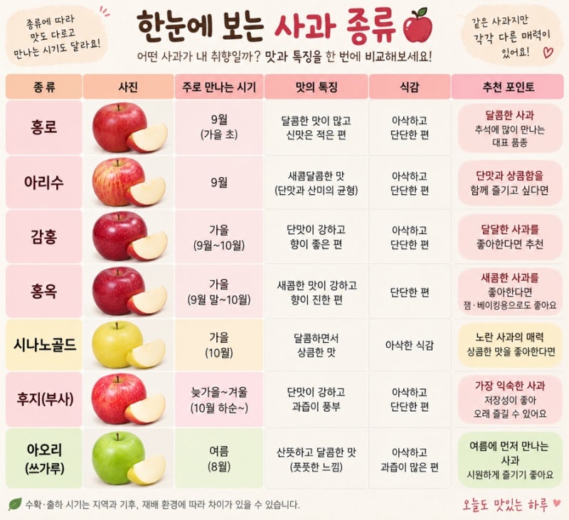 요즘 사과 뭐가 맛있을까?|홍로부터 감홍·홍옥까지 종류별 특징