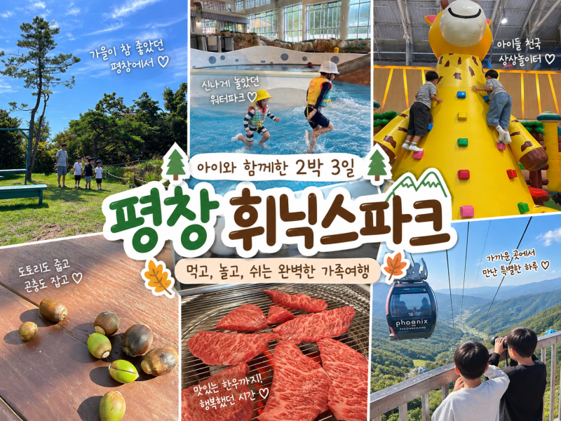 [평창 아이랑 가볼만한 곳] 휘닉스파크 2박3일｜워터파크·곤돌라·상상놀이터 알차게 즐긴 ....