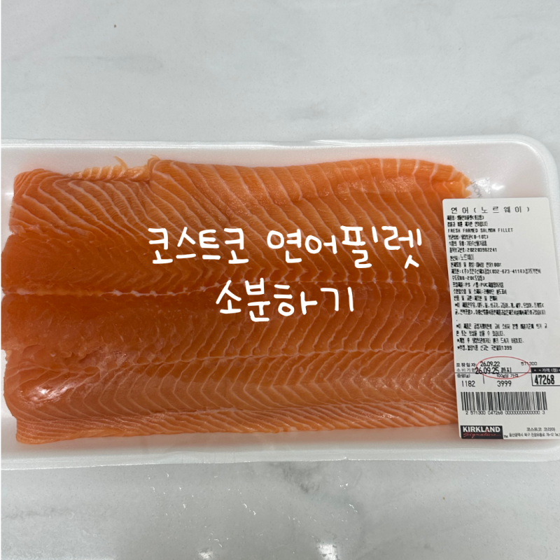[유아식 재료] 코스트코 유아식 추천템 연어 필렛 소분하기 | 코스트코 푸드 세이버 진공포장