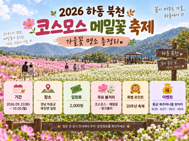 하동 북천 코스모스 메밀꽃 축제 주차·입장료, 오늘 개막 전에 알아둘 것!