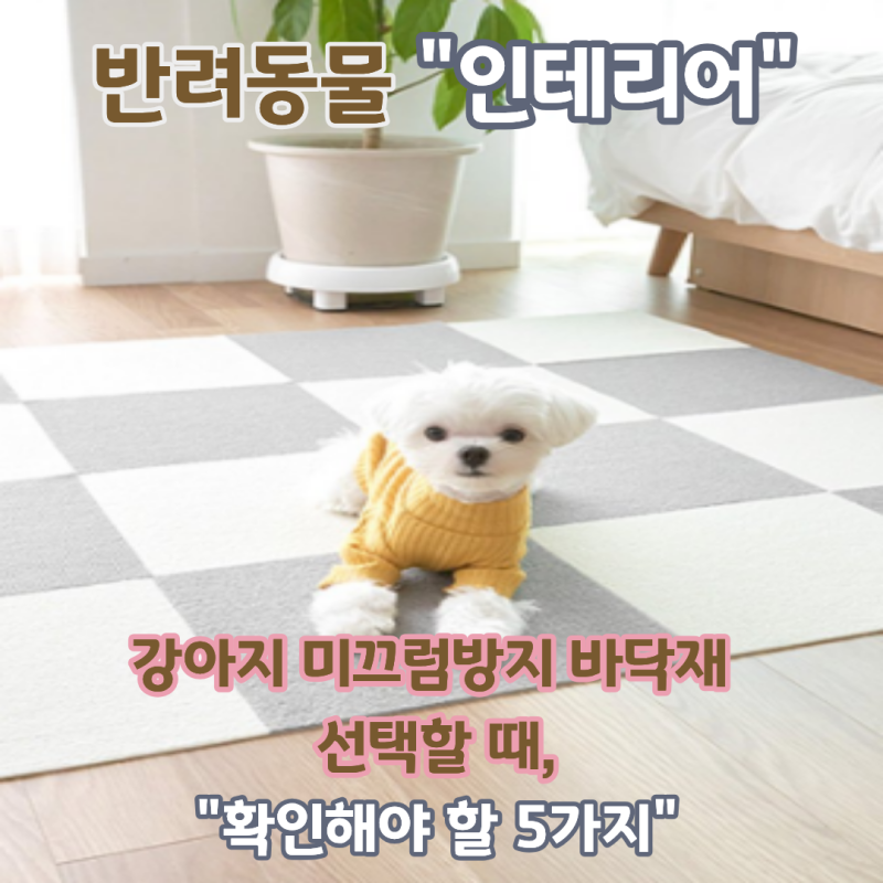 {반려동물 인테리어..펫테리어} ②강아지 미끄럼 방지 바닥재, 고를 때 꼭 확인해야 할 5가지