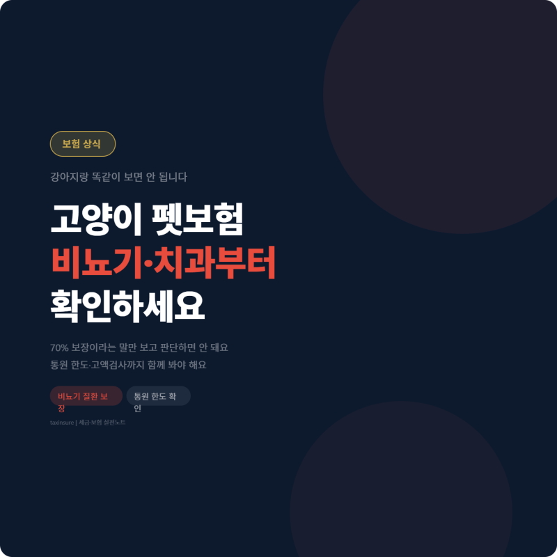 고양이 펫보험, 강아지랑 똑같이 보면 안 됩니다｜비뇨기·치과부터 확인하세요!