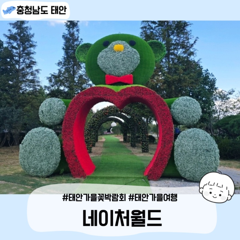 태안 가을꽃박람회 위치 장소 일정 입장료 수유실