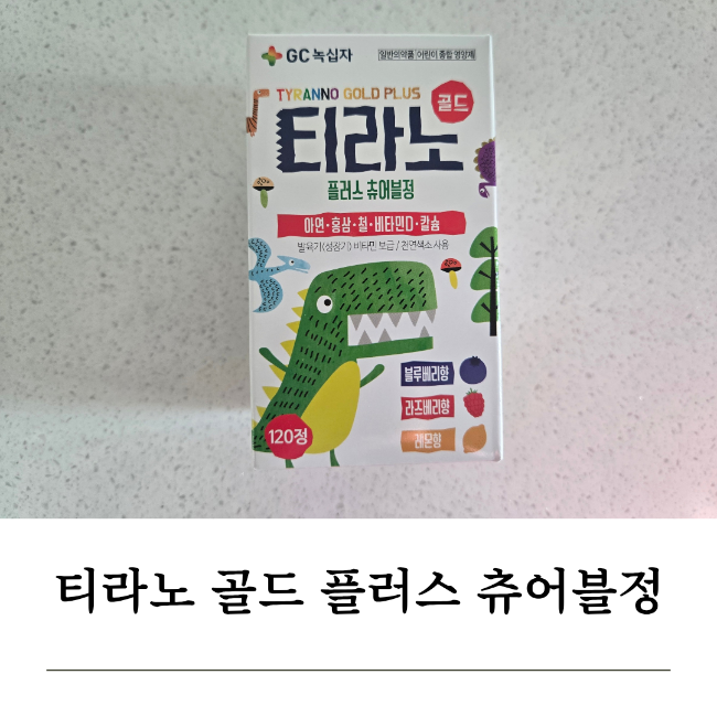 티라노 골드 플러스 츄어블정 어린이 종합비타민 추천