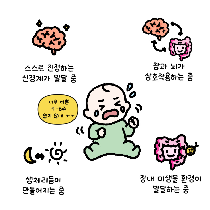왜 4~6주에 많이 울까요?｜‘영아 불편 증후군’과 대처법