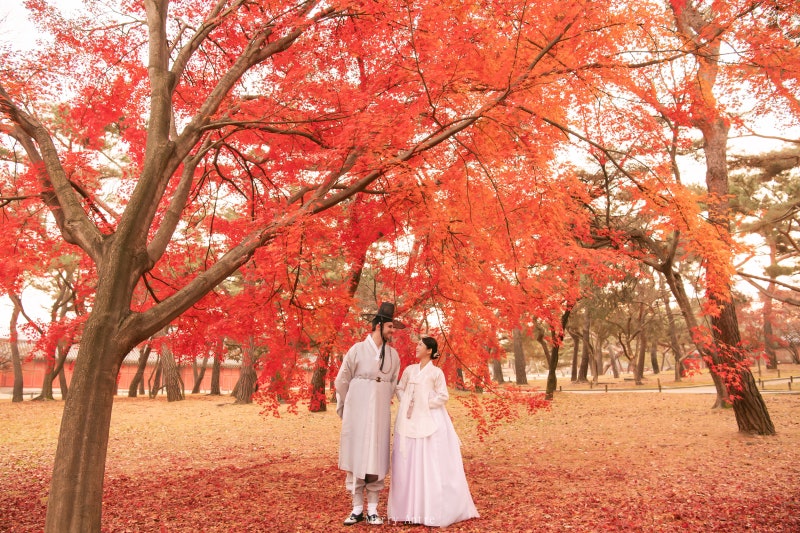 창경궁 한복스냅 단풍 + 가을 하늘공원 야외웨딩스냅 | 메리안트레