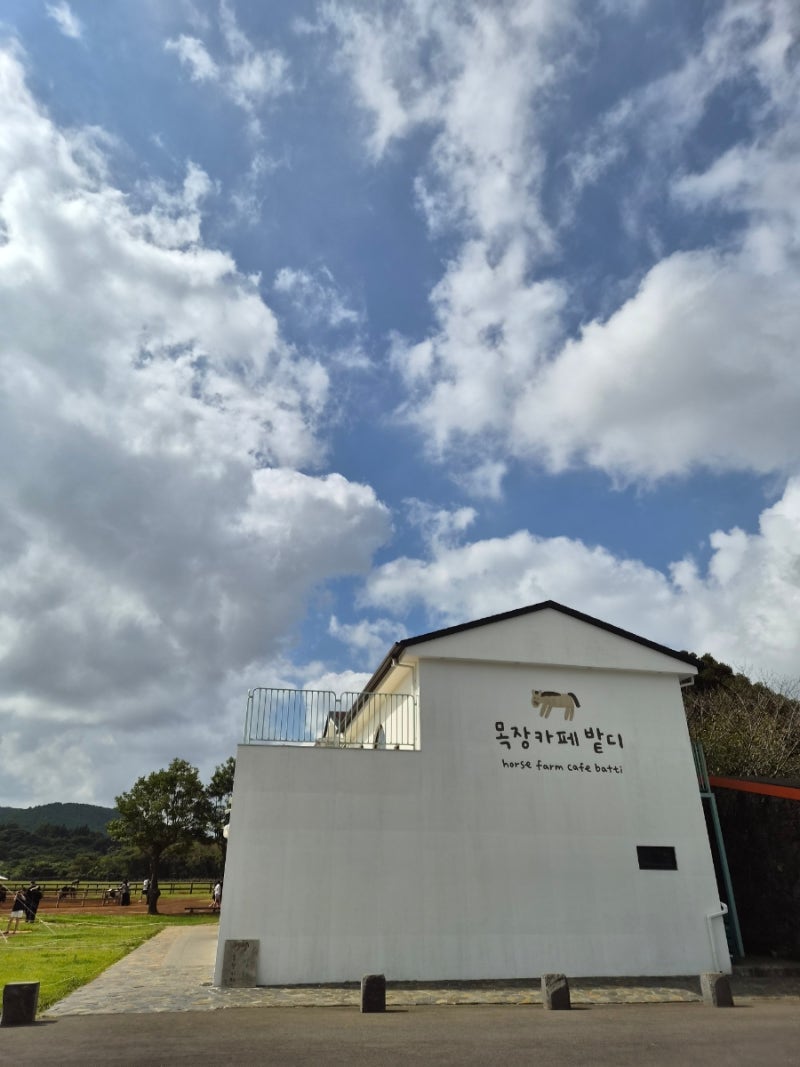 [제주도] 제주 승마체험 목장카페 밭이 아이들과 다녀온 후기