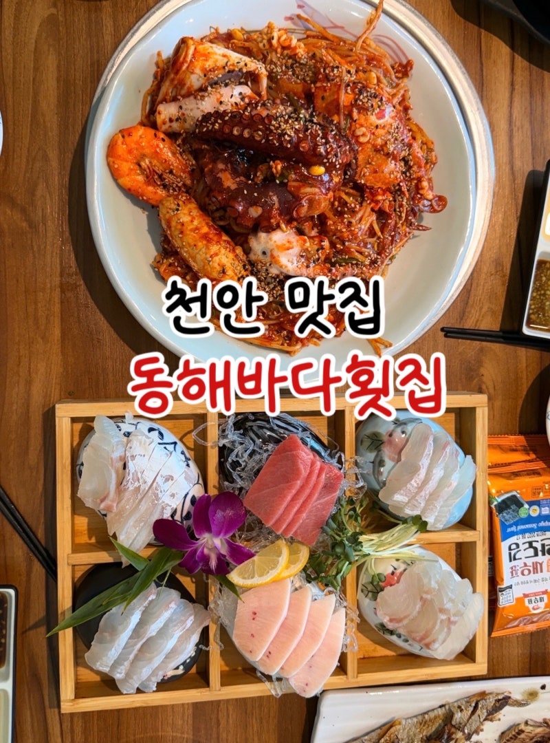 천안 두정동 맛집 동해바다횟집 회식하기 좋은 곳 해물찜 술안주맛집 추천
