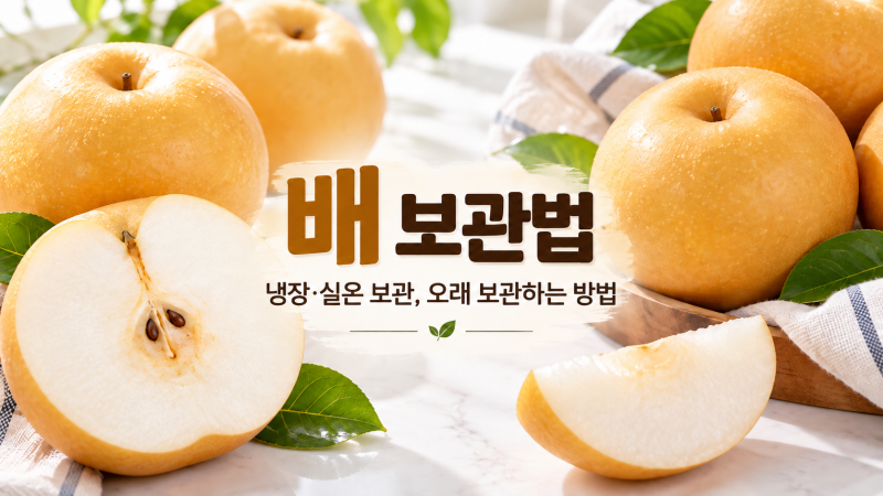 배 보관법｜냉장·실온 보관, 오래 보관하는 방법