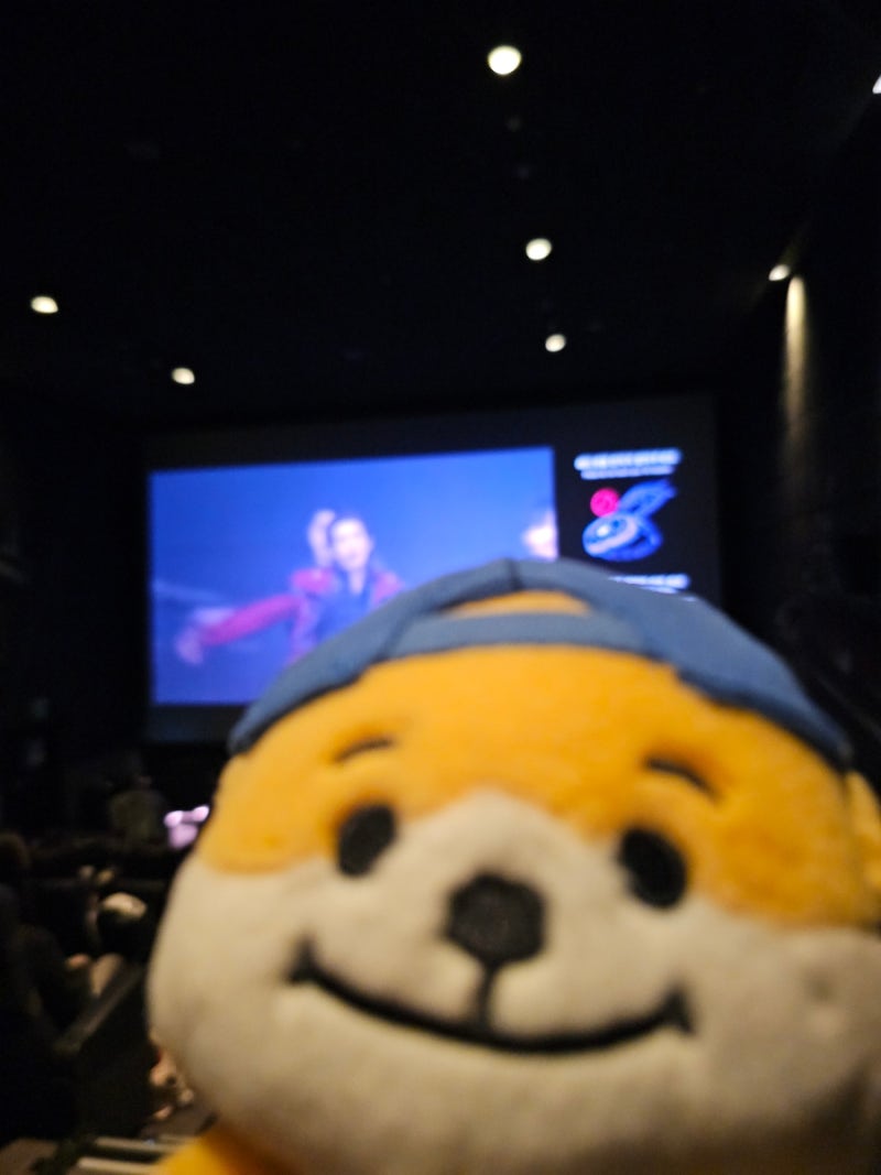 ENHYPEN VR CONCERT : DESTINY 엔하이픈 VR콘서트 관람 후기