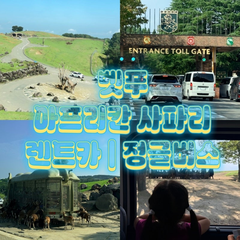 후쿠오카 벳푸 아프리칸 사파리｜렌터카 사파리·정글 버스 ｜아이랑 후쿠오카 가족여행