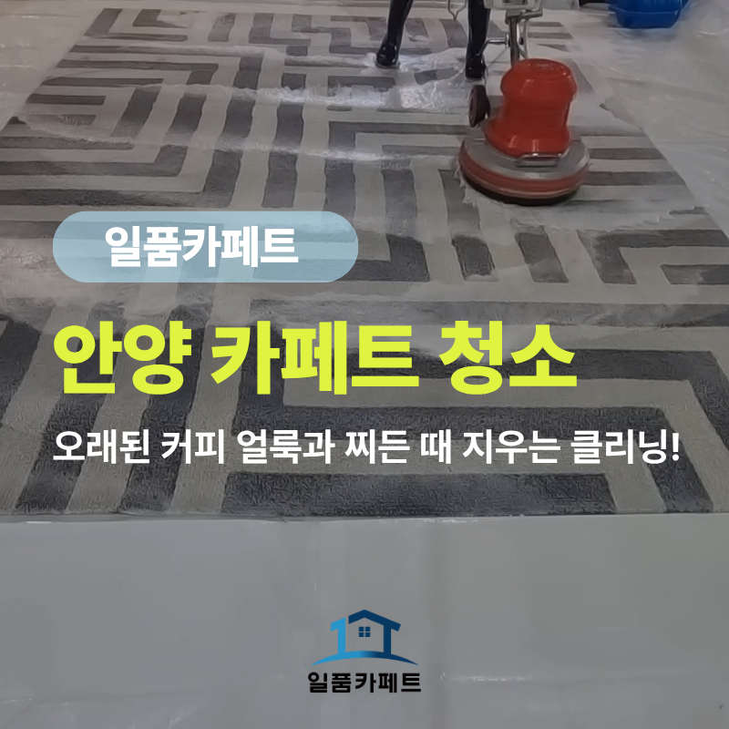 안양 카페트 청소, 오래된 커피 얼룩과 찌든 때 지우는 딥클리닝