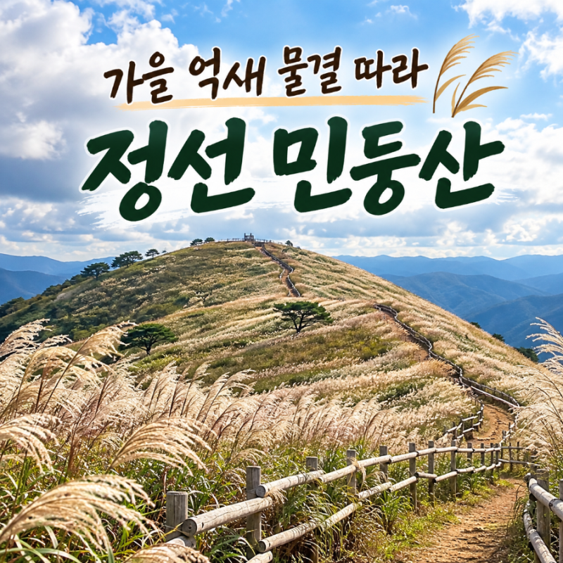 정선 민둥산 억새 산행, 거북이쉼터에서 정상까지 등산코스