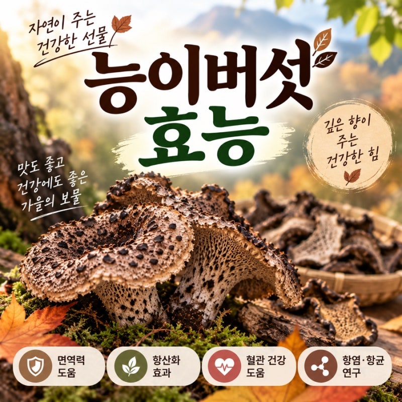 능이버섯효능과 먹는법, 가을철 섭취 전 꼭 알아둘 주의사항