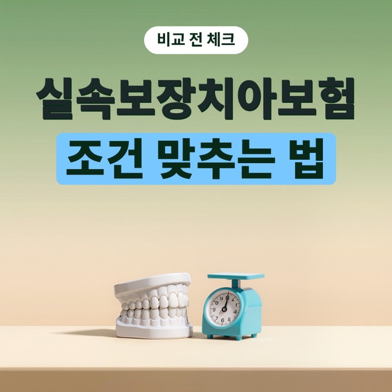 실속보장치아보험 치아보험비교 전 무엇을 맞춰야 할까? 플랜비보험 기준 정리