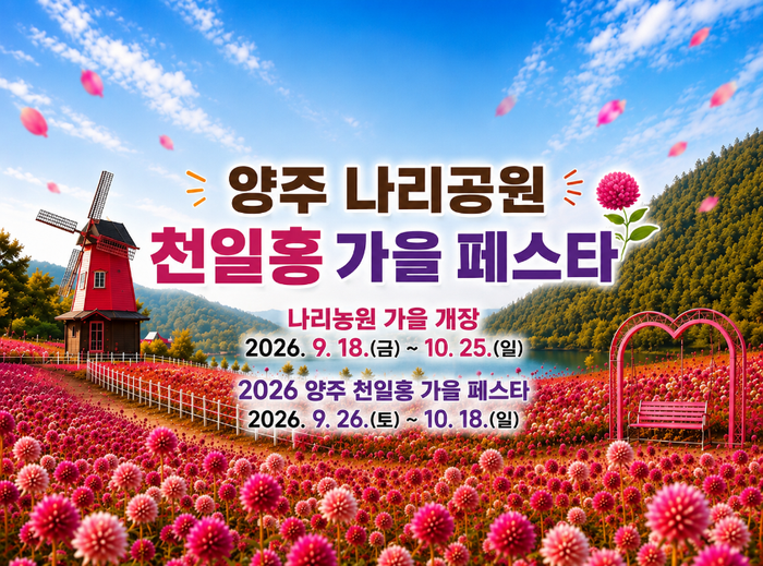 【양주 나리농원 천일홍 가을 페스타】 2026 일정 ｜9월 18일 개장, 꽃축제 총정리