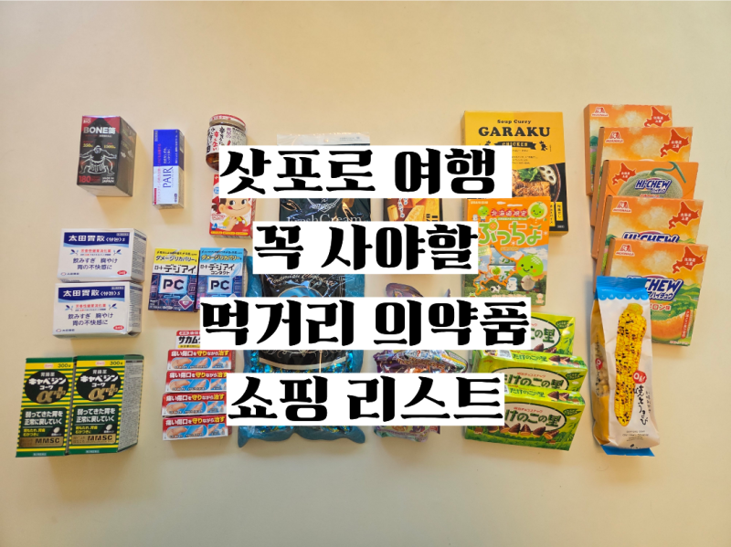 일본 삿포로 쇼핑리스트｜돈키호테 의약품부터 먹거리까지 쇼핑