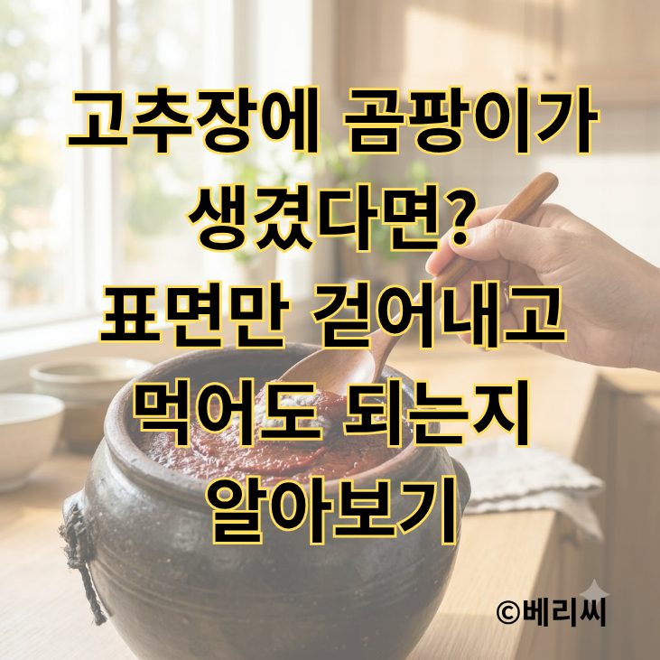 고추장에 곰팡이가 생겼다면?｜표면만 걷어내고 먹어도 되는지 알아보기