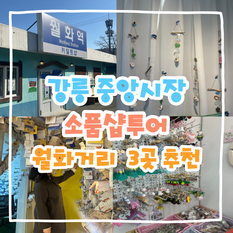 강릉 중앙시장 소품샵 투어｜월화거리 기념품샵 3곳 추천